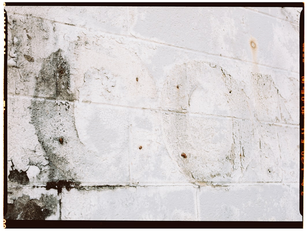 Flood Cleanup service in Newport News, VA